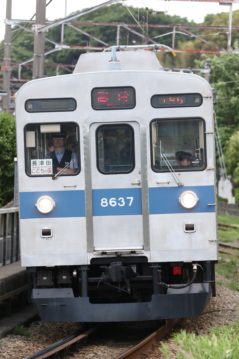 GoodSnow01's tweet photo. 東急8500系8637F 4両 こどもの国線 臨時列車 (長津田↔こどもの国)を仕留めたり!
8606Fに次いで8637Fもクッソ相性が悪くて10両時代は数えるくらいしか逢えなかったという思い出があるので今日はこれでもか!ってくらい撮ったなり
#東急8500系 #東急電鉄 #こどもの国線 #8637F https://t.co/4d4Y67o3dM