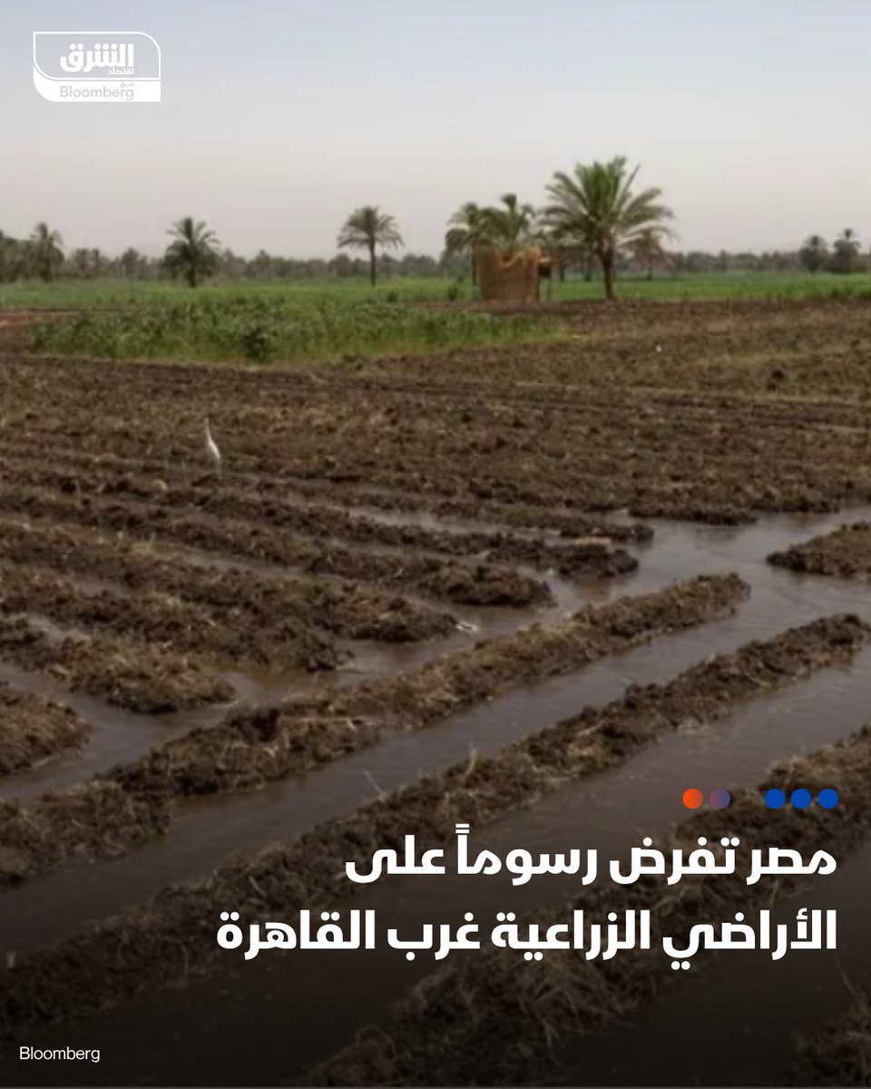 المجلس الثوري المصري tweet media