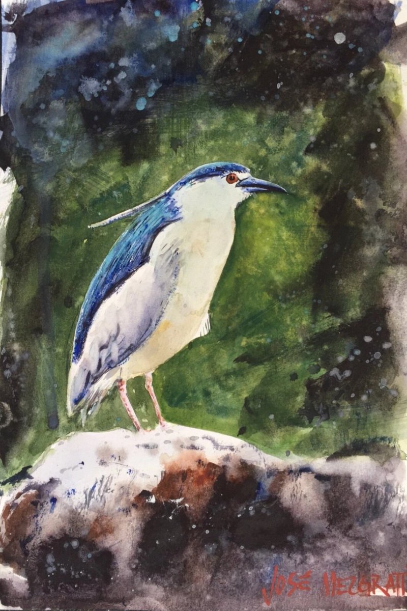 jose_melgratti's tweet image. Watercolor on paper 
Acuarela sobre papel 
ebay.us/m/acRIxf

#Watercolor #Artwork #Painting #Original #Acuarela #Watercolour #JoséMelgratti #Birds