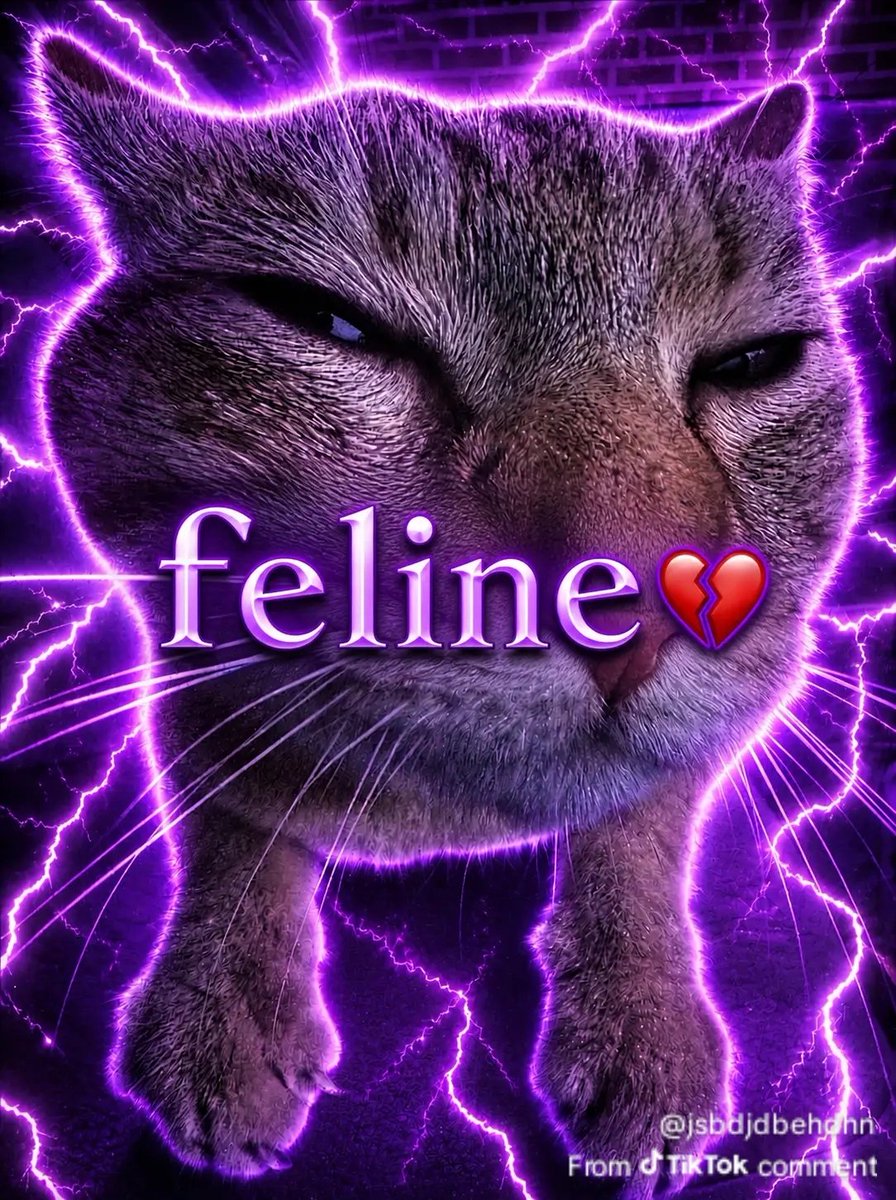 IhatexFurries's tweet photo. @Tabbsgd @gaytwinkshark Still I can't give permissions to make porn and still cry about being banned for the outfit exposing children https://t.co/YaVJnMXCoq