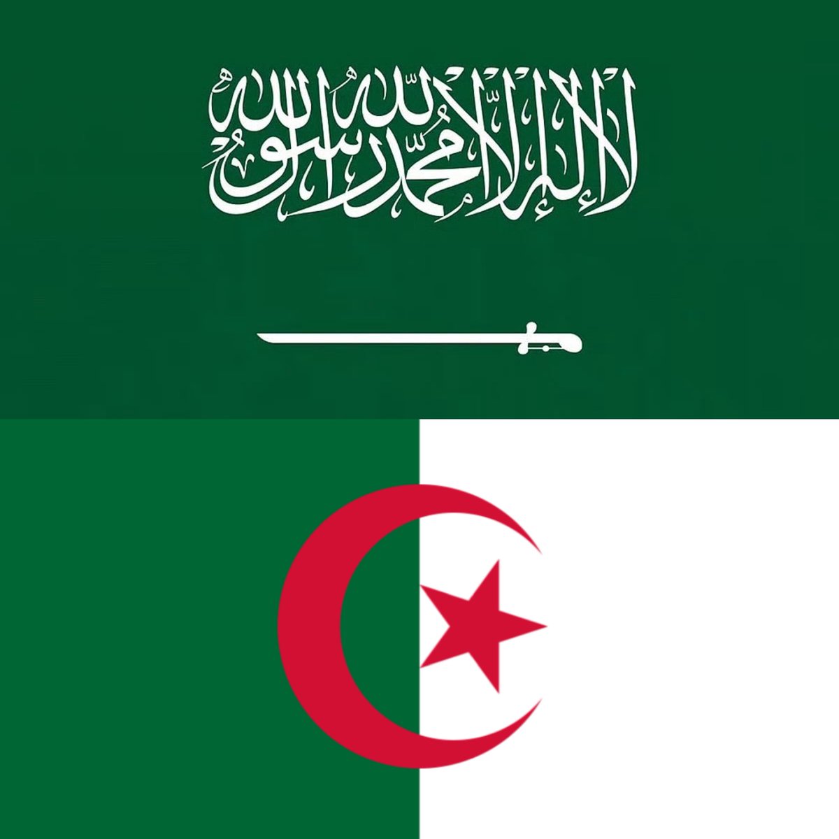 عنزروت tweet media