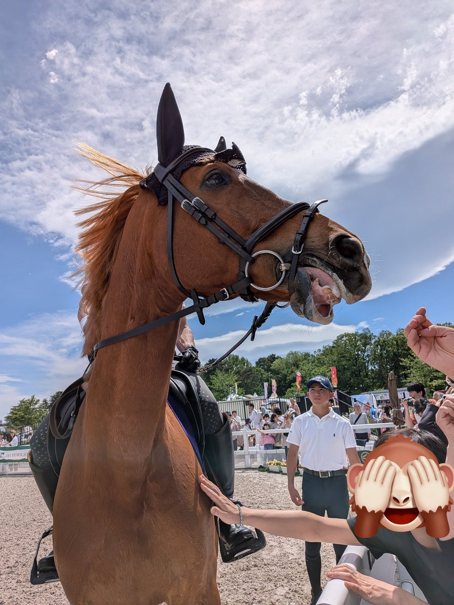 ゆいちー🐴✨ tweet media