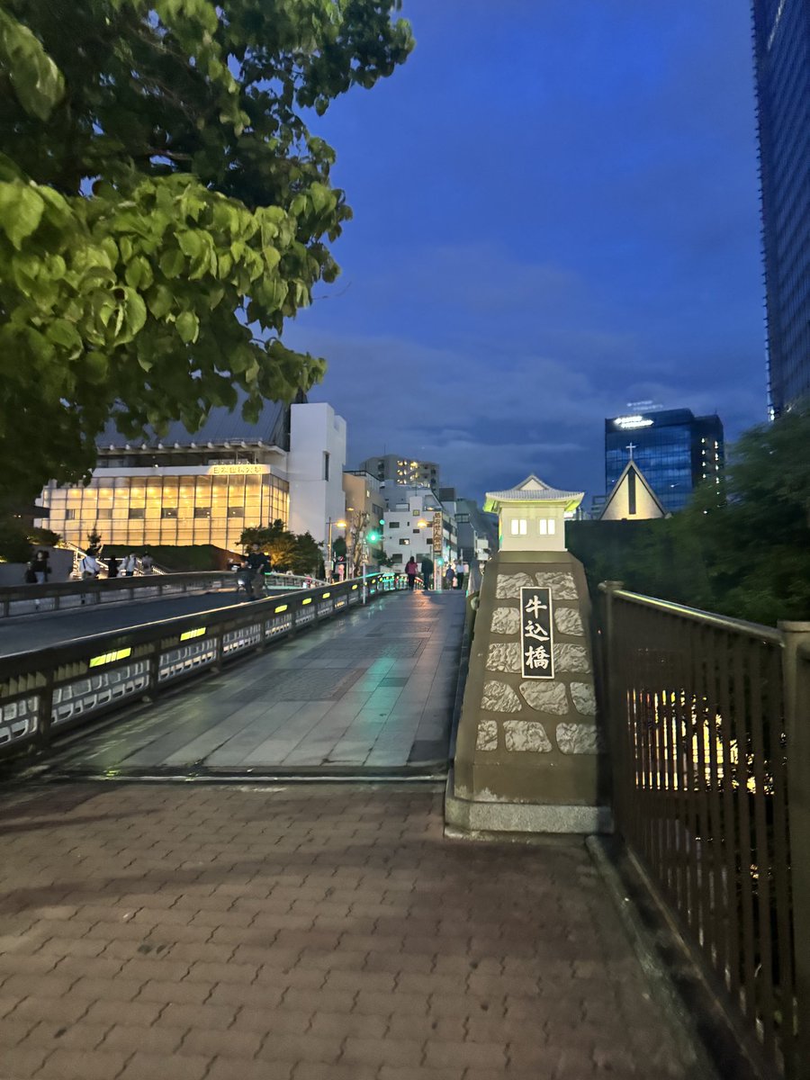 長谷川萌美 tweet media