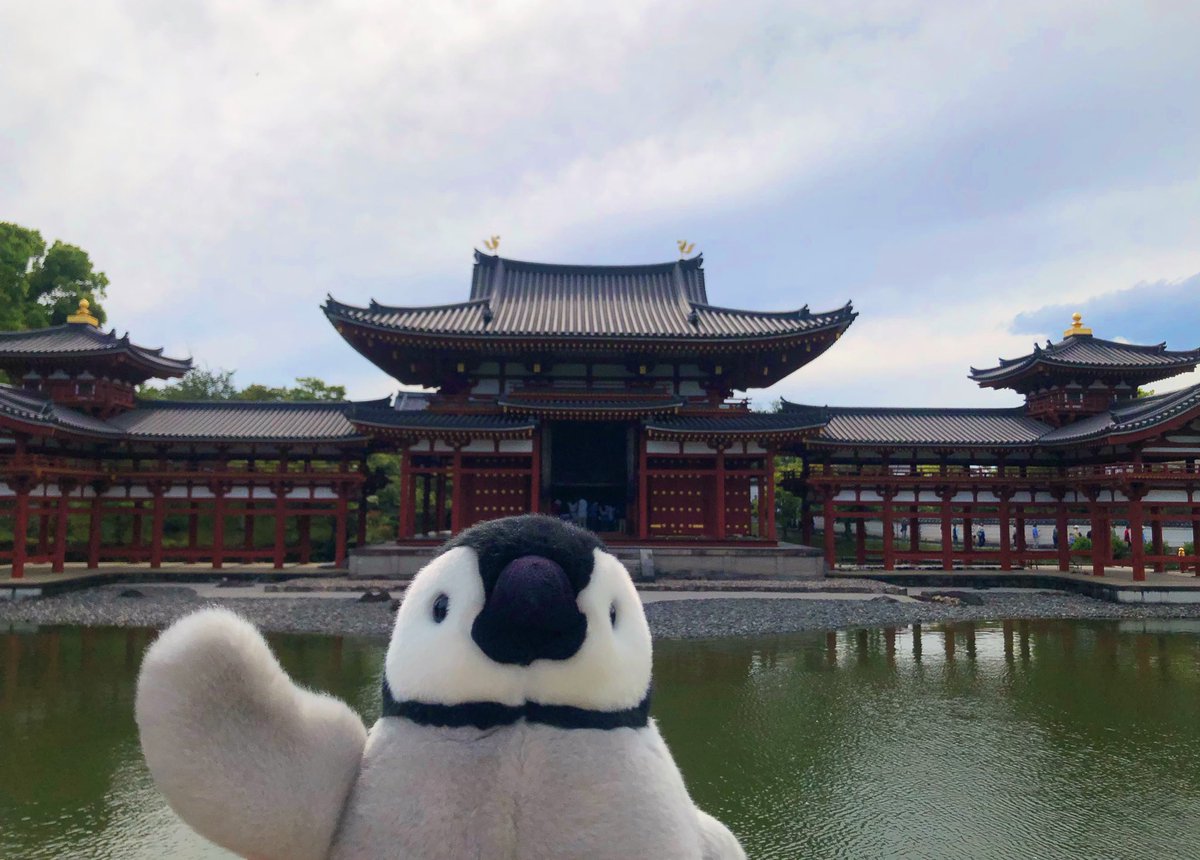 内岛氏理🐧 tweet media