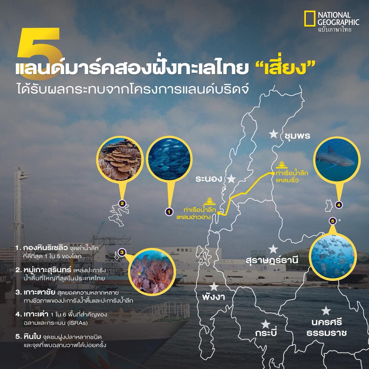 ลูกเลาเป็นคลเท่ | ลิงมัลดีฟส์ 🌴🐒 tweet media