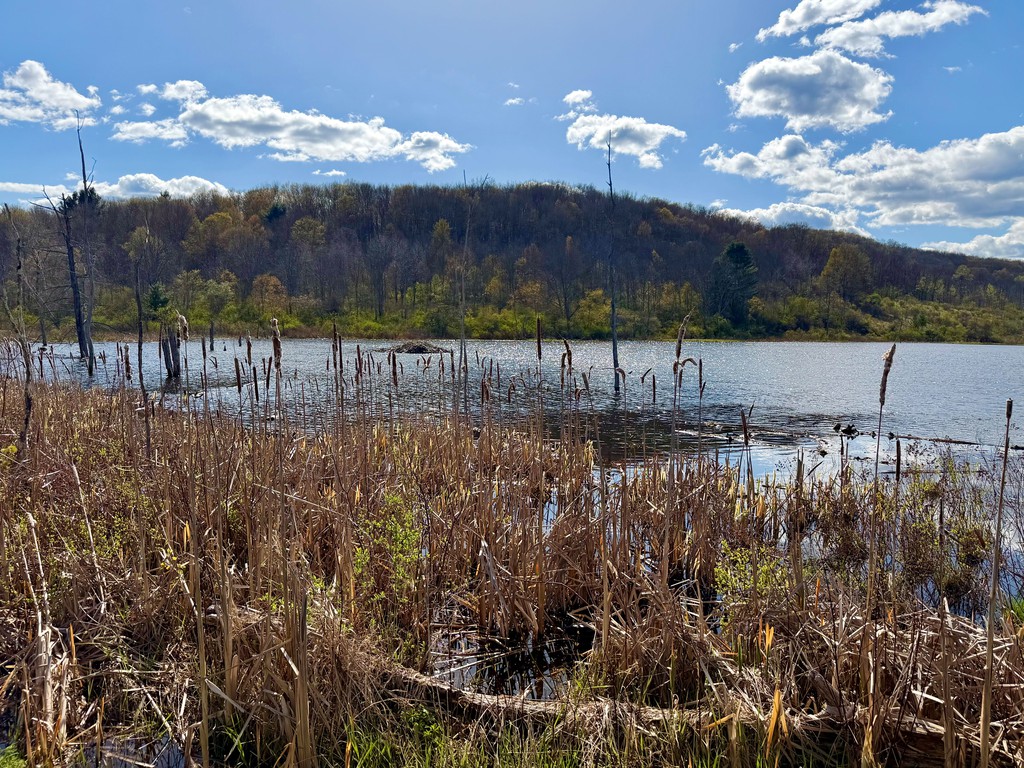 djpfeifer's tweet image. A Sweet Mountain Bike Ride – The First After Back Surgery: 
Read more 👉 lttr.ai/AqwN3

#Outdoors #MountainBiking #MountainBike