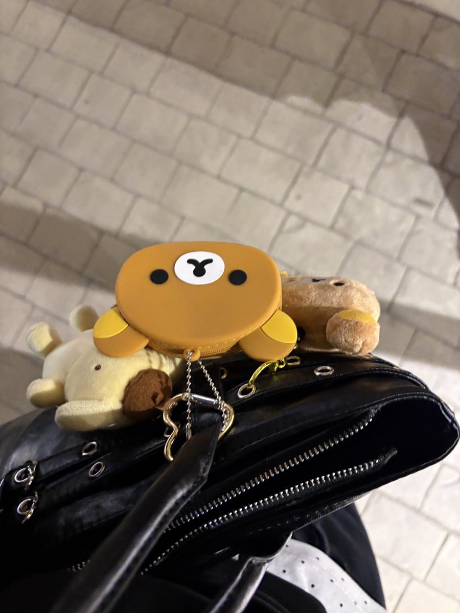 ﾉｿﾞﾐﾝ。 tweet media