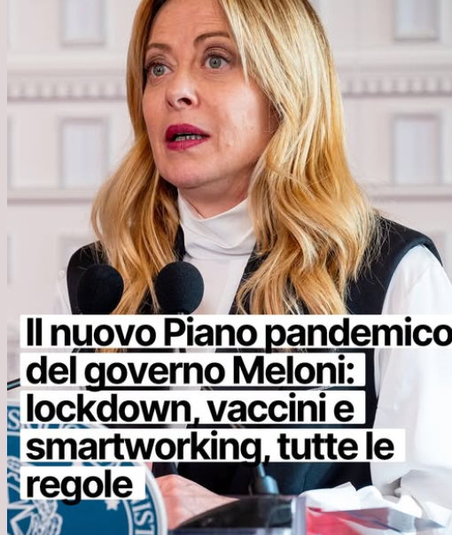 Frenkie_Woody tweet media