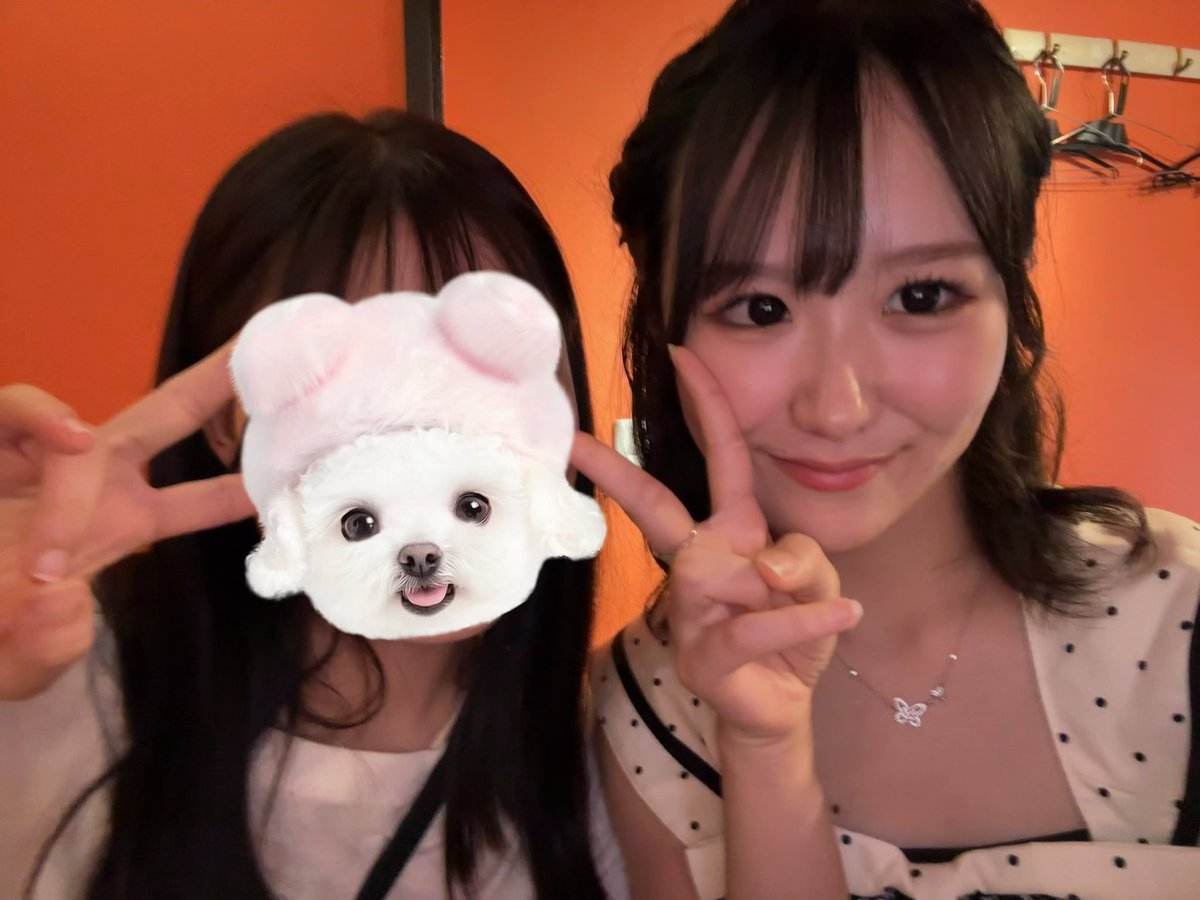 nyan🐾¦美容ナース tweet media