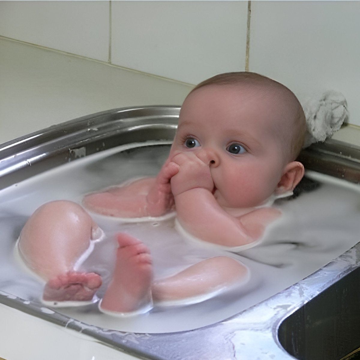 Babiez tweet media