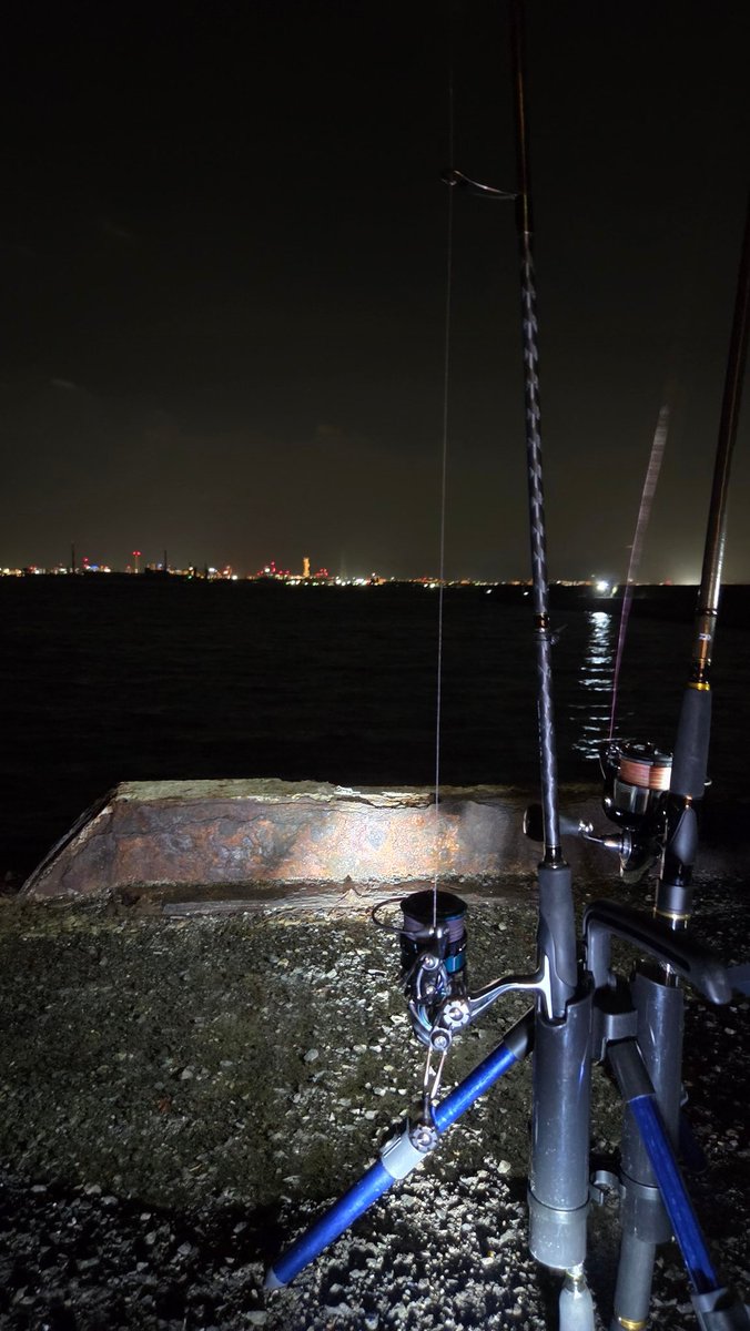 あ、ほんと昼間の爆風が嘘みたい…
夜の海も静かでいいなあ〜🌙🌊⁺.˖*

私はイカ釣りも夜釣りも初めてなので夫に教わりながら楽しみます(  ｰ̀дｰ́ )و 
釣れますよーに🦑🎣