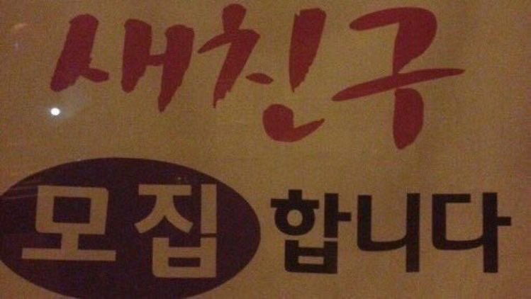 두콩이 tweet media