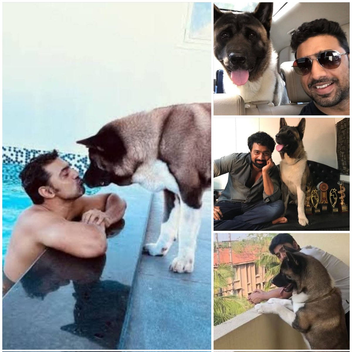 AbhishekRaksh19's tweet image. We Are Miss U Lucky 🥺❤️
    Bhalo Thakis Lucky RIp 🙏🏻

#MissULucky #Lucky #MissU #DevDarLucky 

@idevadhikari