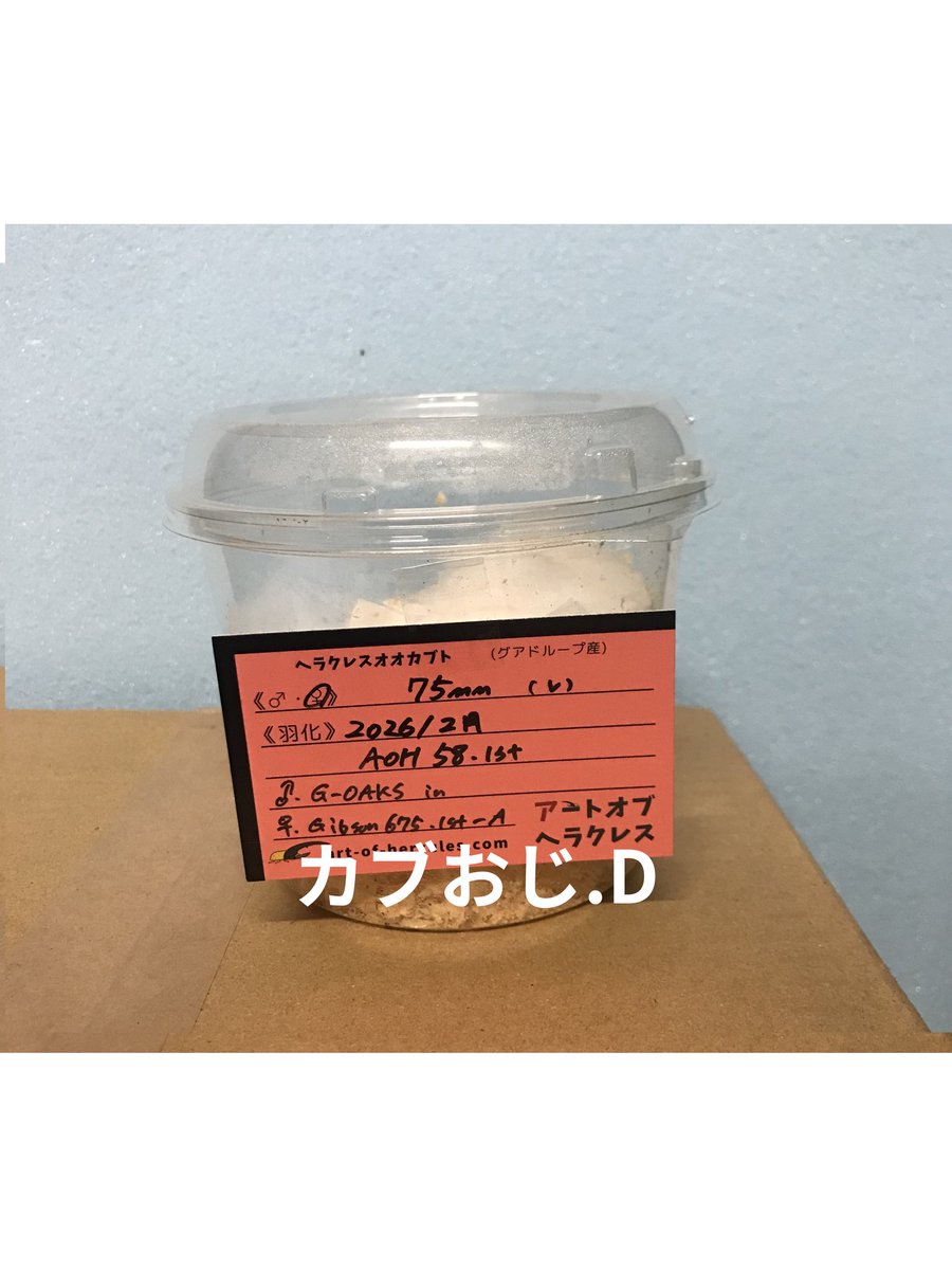 カブおじ.D tweet media