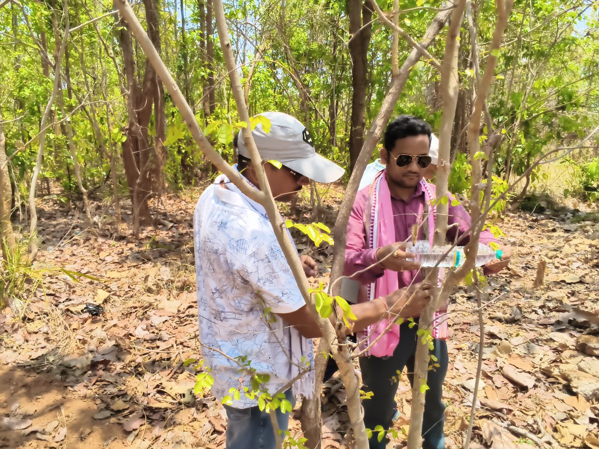 prasant03591483's tweet photo. ଆଠ ଦିନି ହଲା ଗ୍ରୀଷ୍ମ ପ୍ରବାହରୁ ପକ୍ଷୀଙ୍କ ସୁରକ୍ଷା ଅଭିନବ ପ୍ରୟାସ  ସହରର ଗଛମାନଙ୍କୁ ମାଟି ପାତ୍ର ଖଞ୍ଜାଗଲା  ପ୍ରଚଣ୍ଡ ଗ୍ରୀଷ୍ମ ପ୍ରବାହ  ସକାଳ ସାଢ଼େ ୮ଟା ସୁଦ୍ଧା ୩୫ ଡିଗ୍ରୀ ଉପରେ ସହରର ତାପମାତ୍ରା ରେକର୍ଡ  ହୋଇଛି ପ୍ରବଳ ଗ୍ରୀଷ୍ମ ପ୍ରବାହରେ ବଲାଙ୍ଗୀର ଗଛ ଯଦି ଛାତରେ ଅଳ୍ପ ଜାଗା ଥାଏ, ତେବେ ପକ୍ଷୀଙ୍କ ପାଇଁ ଟିକେ ପାଣି ରଖିବା https://t.co/GEdHwb80jF