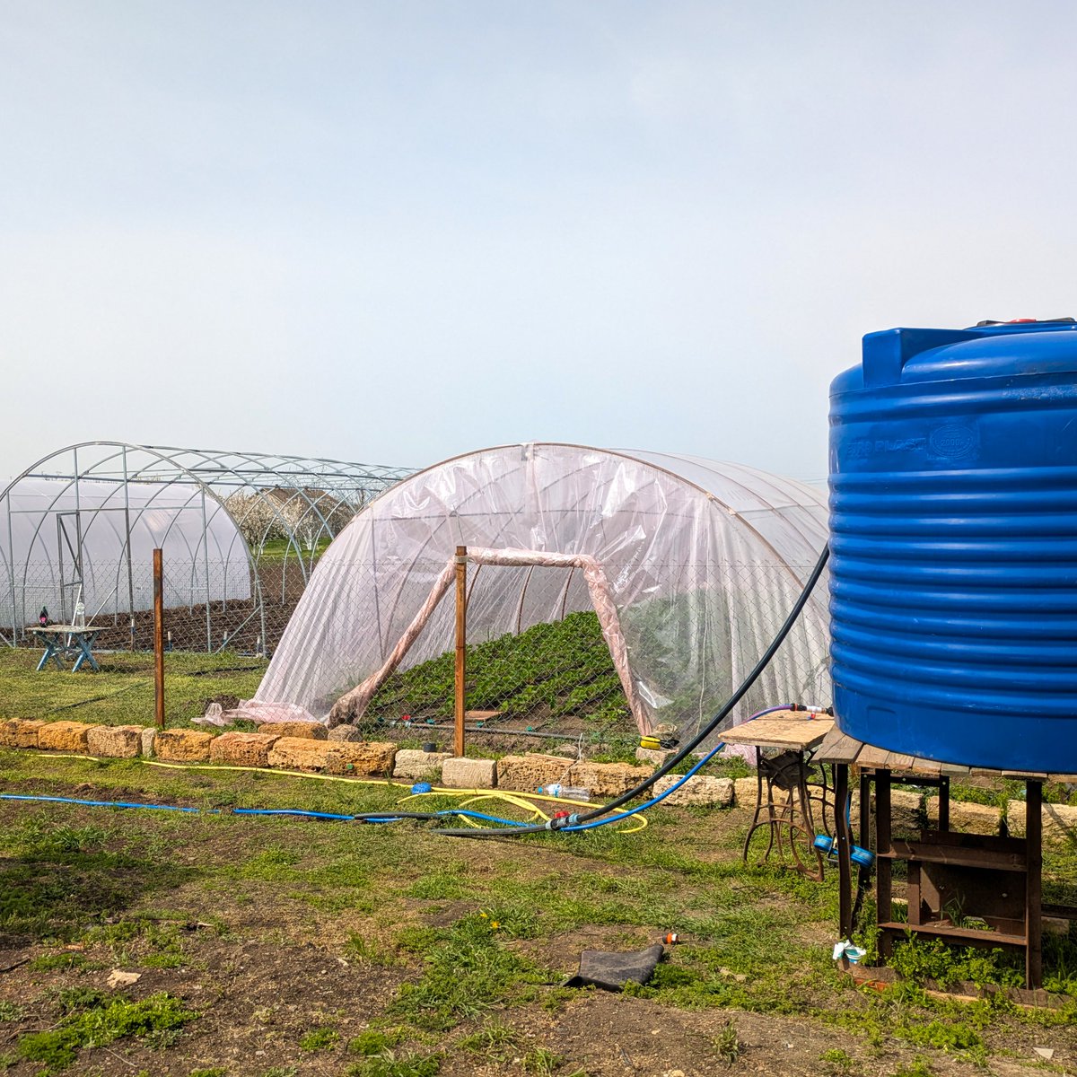 WFP Ukraine tweet media