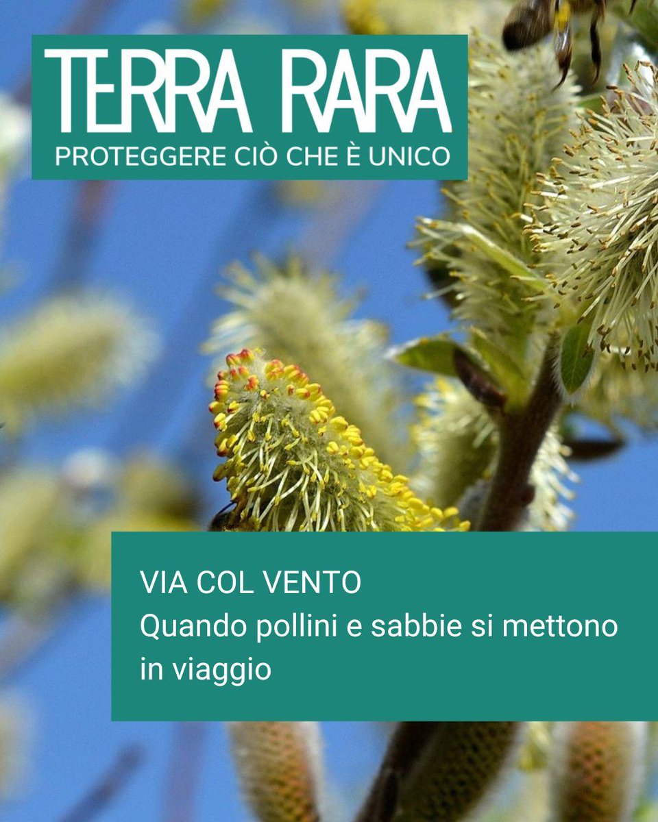 ARPA FVG tweet media