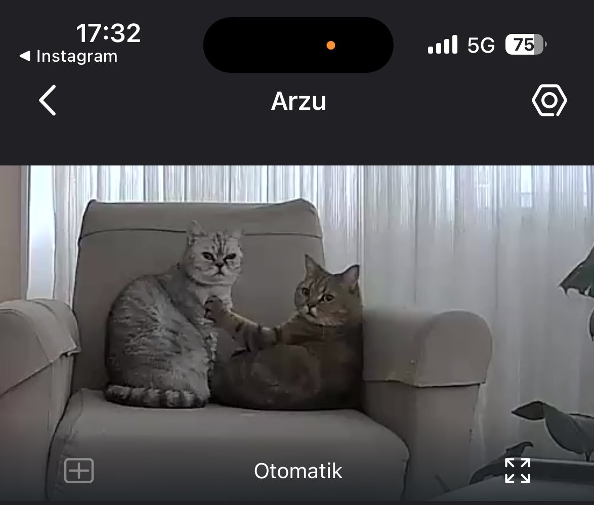 Dertligofret tweet media