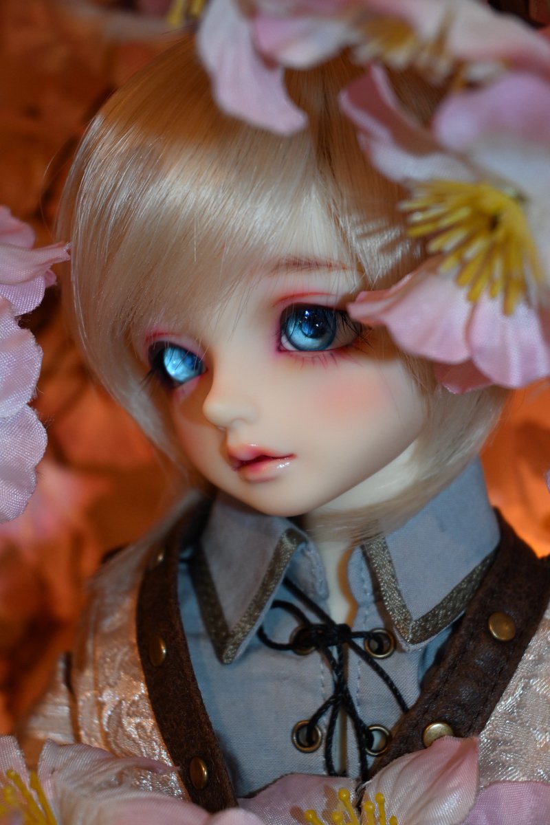 _Lepus_Lei_'s tweet photo. 我が家の54番くん達です！ 

#5月4日は54番の日
#5月4日なのでミニ54番ください https://t.co/nA19VaesTV