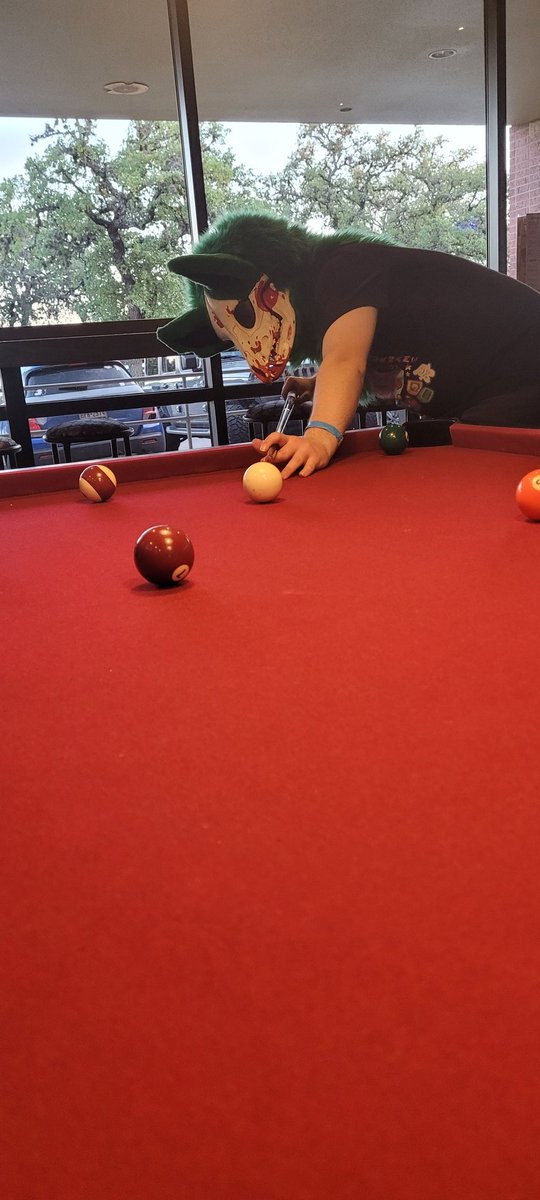 CommanderLupine's tweet photo. Photos from a local billards meet I went to. 
#furry #fursuit https://t.co/sBtLCZoytI