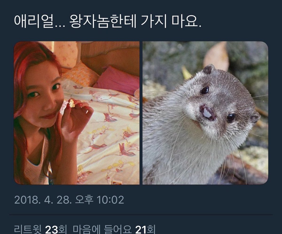 맹 tweet media