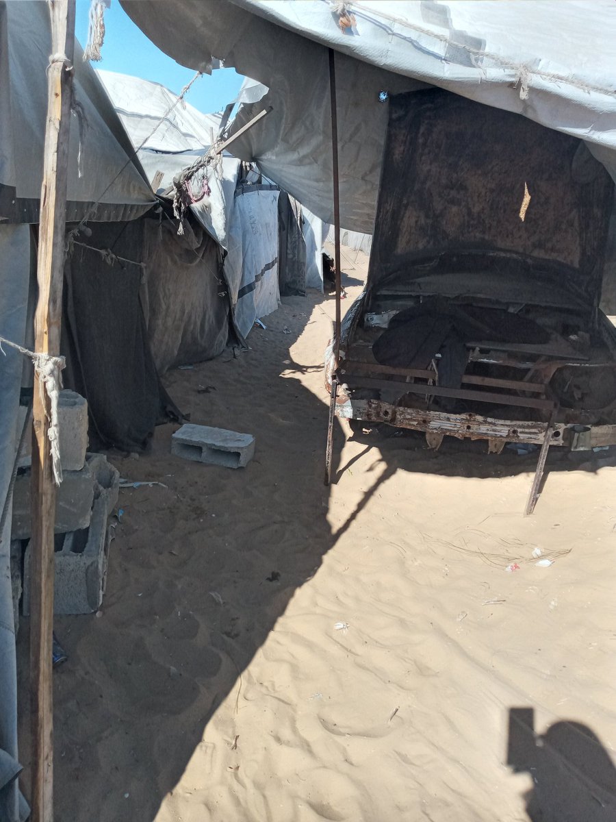 RaghbSyryn's tweet image. 🚨 Urgent 🚨

We are suffering from fleas and rats inside our tent, causing serious harm. I urgently need $30 to buy insecticide and rat poison to stay safe.

Please don’t ignore this—any help can make a real difference.

#HelpNow #Urgent #Humanitarian

chuffed.org/project/amani