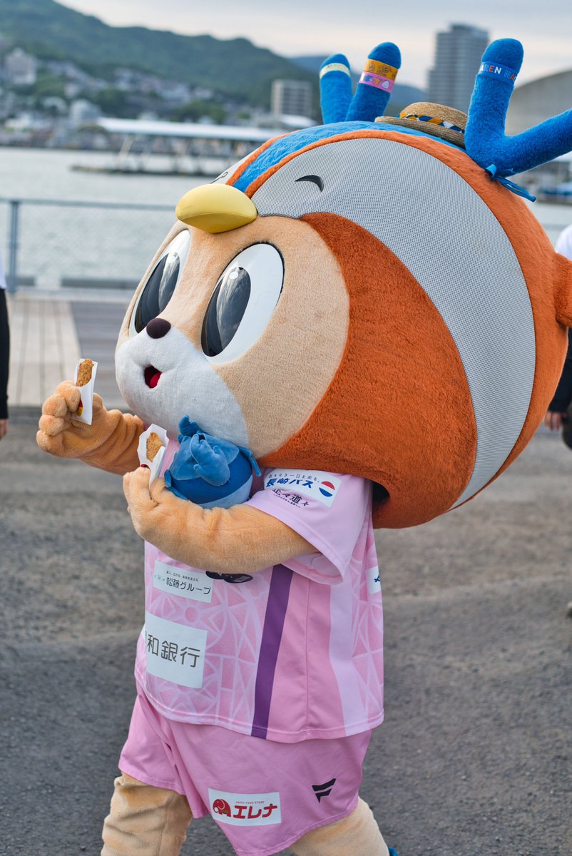 かっぴー tweet media