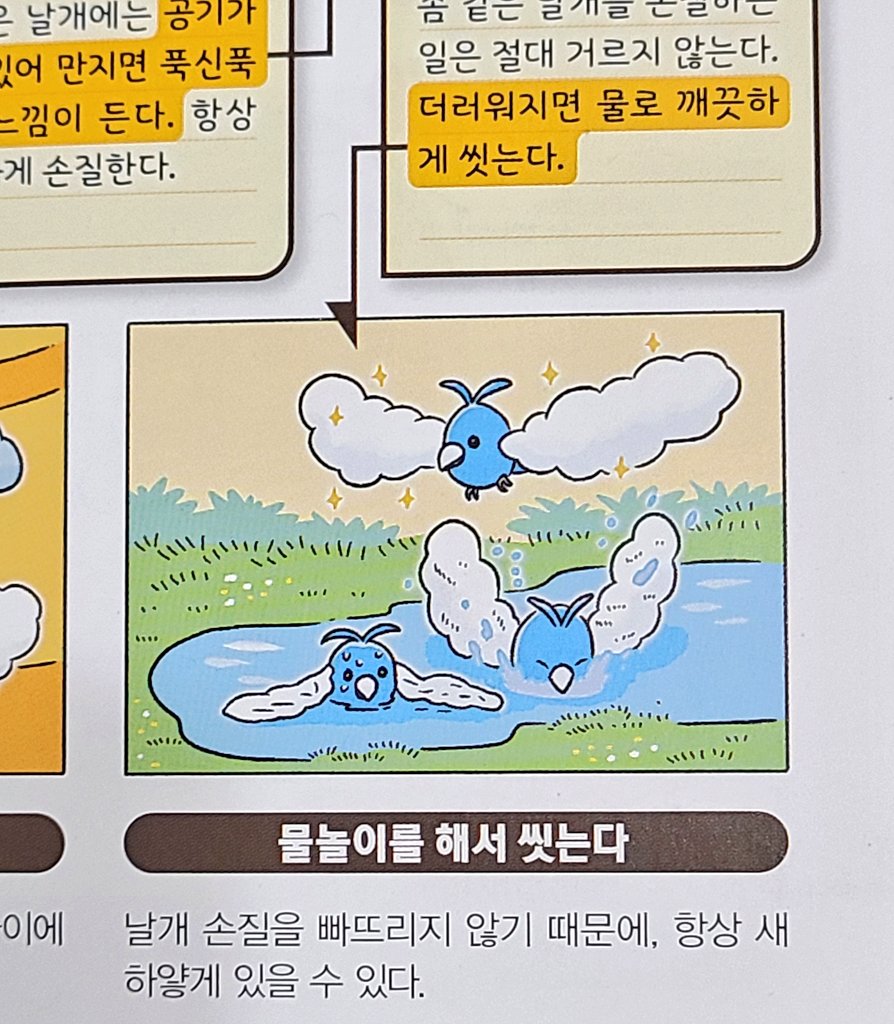 메타몽을 찾습니다 tweet media