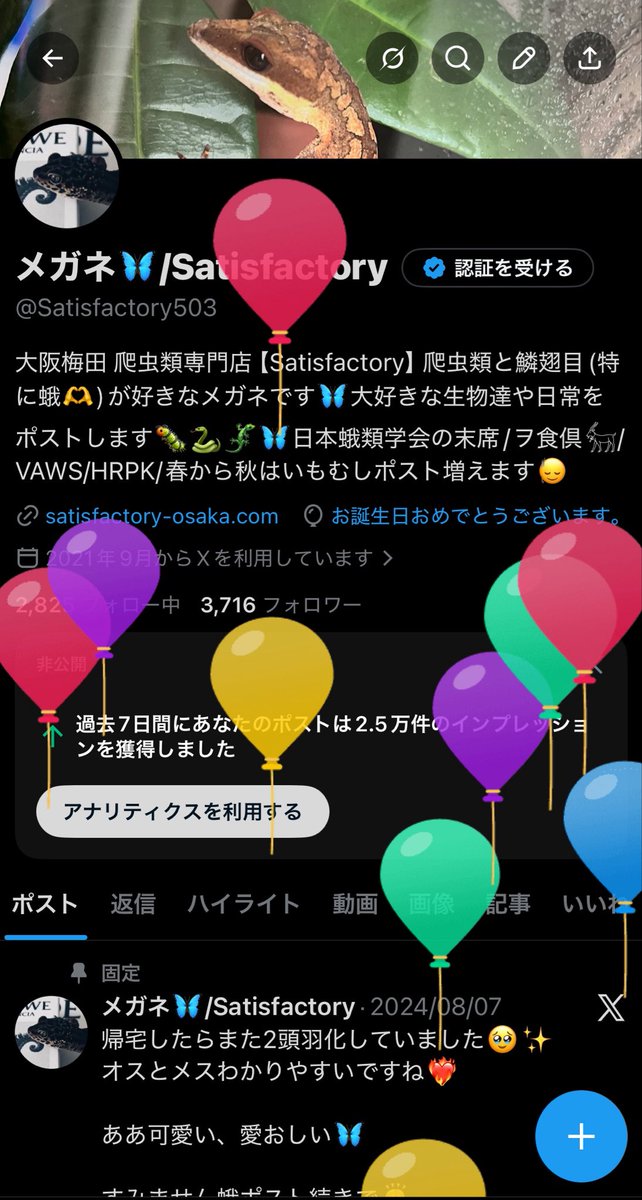 メガネ🦋/Satisfactory tweet media