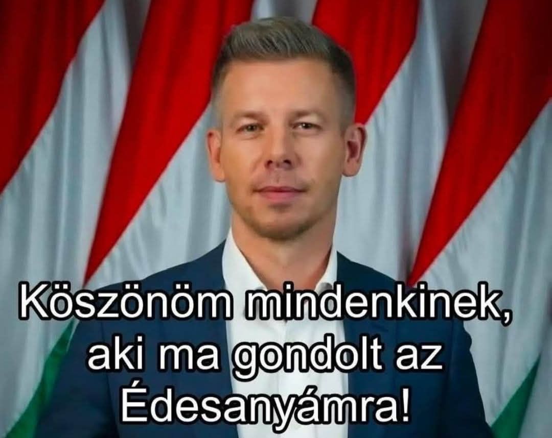 Zso Bark tweet media
