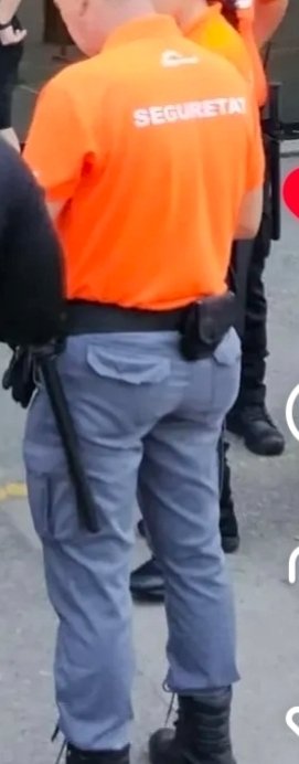 PERCEBE 87 / seguridad privada tweet media