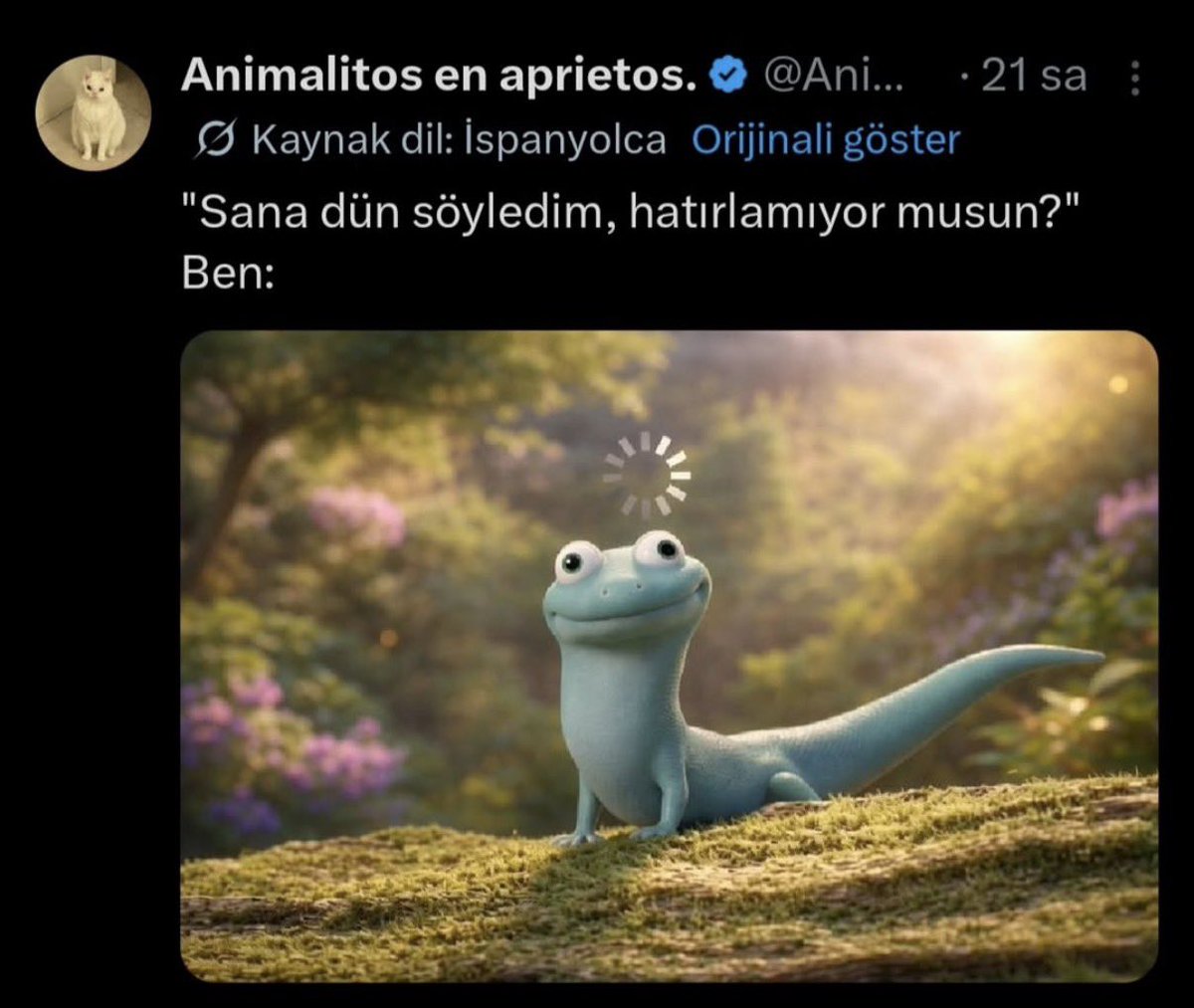 paşaoğlu tweet media