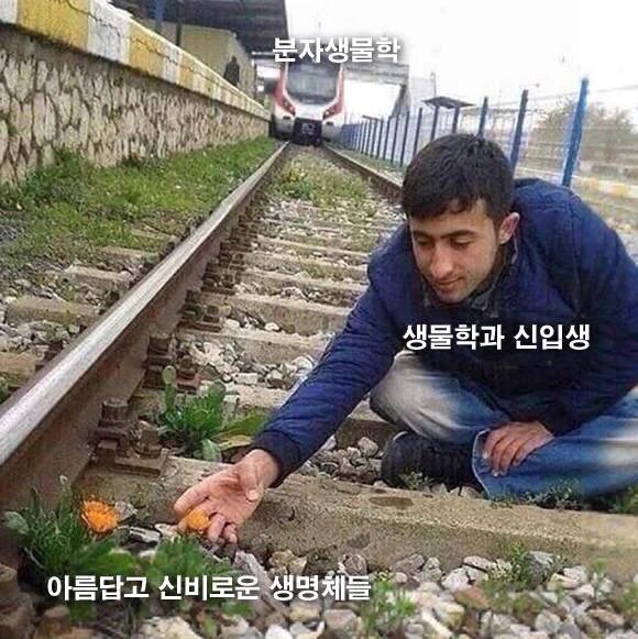 한천 tweet media