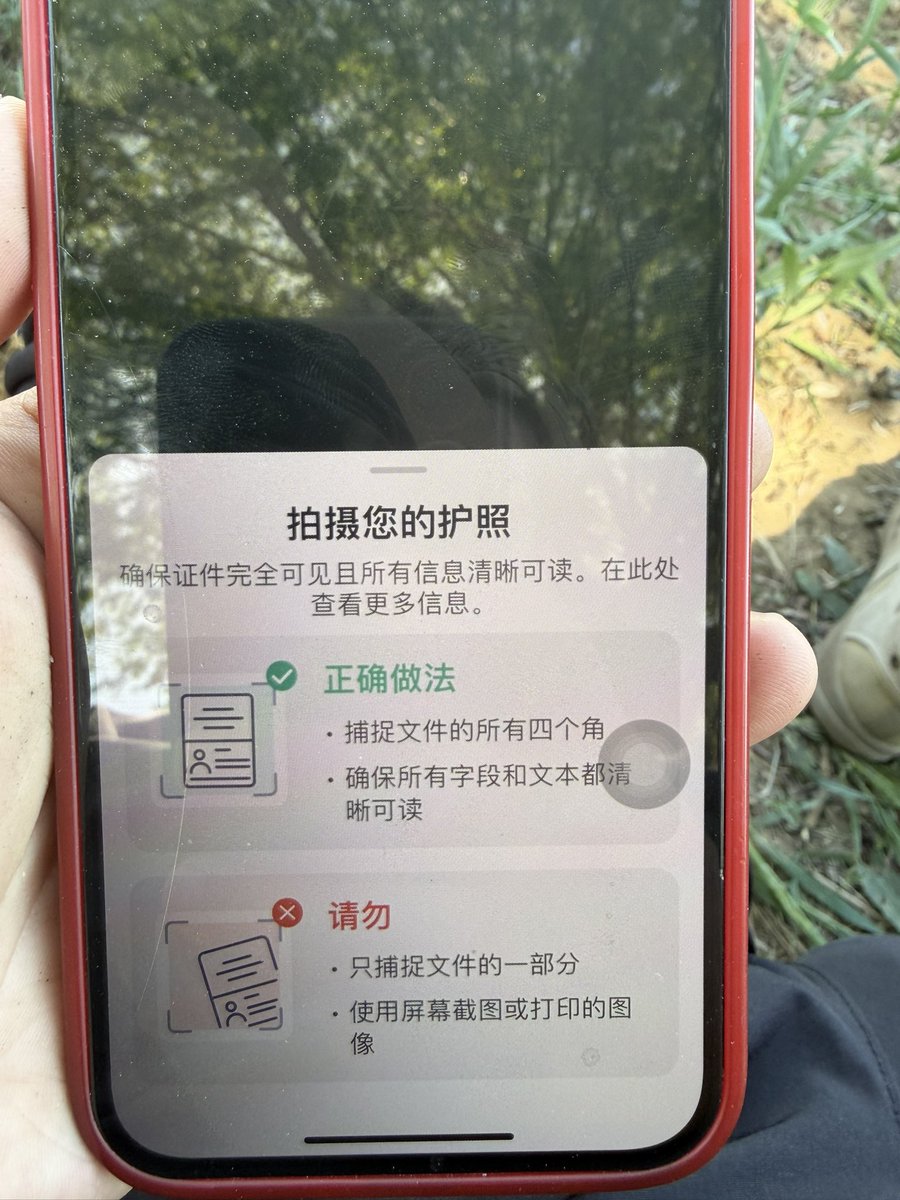 桥豆麻袋 tweet media