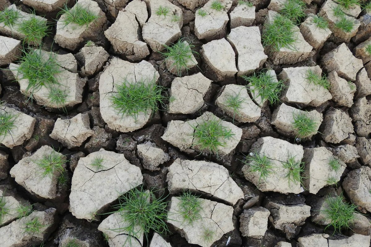 BC3 - Basque Centre for Climate Change tweet media