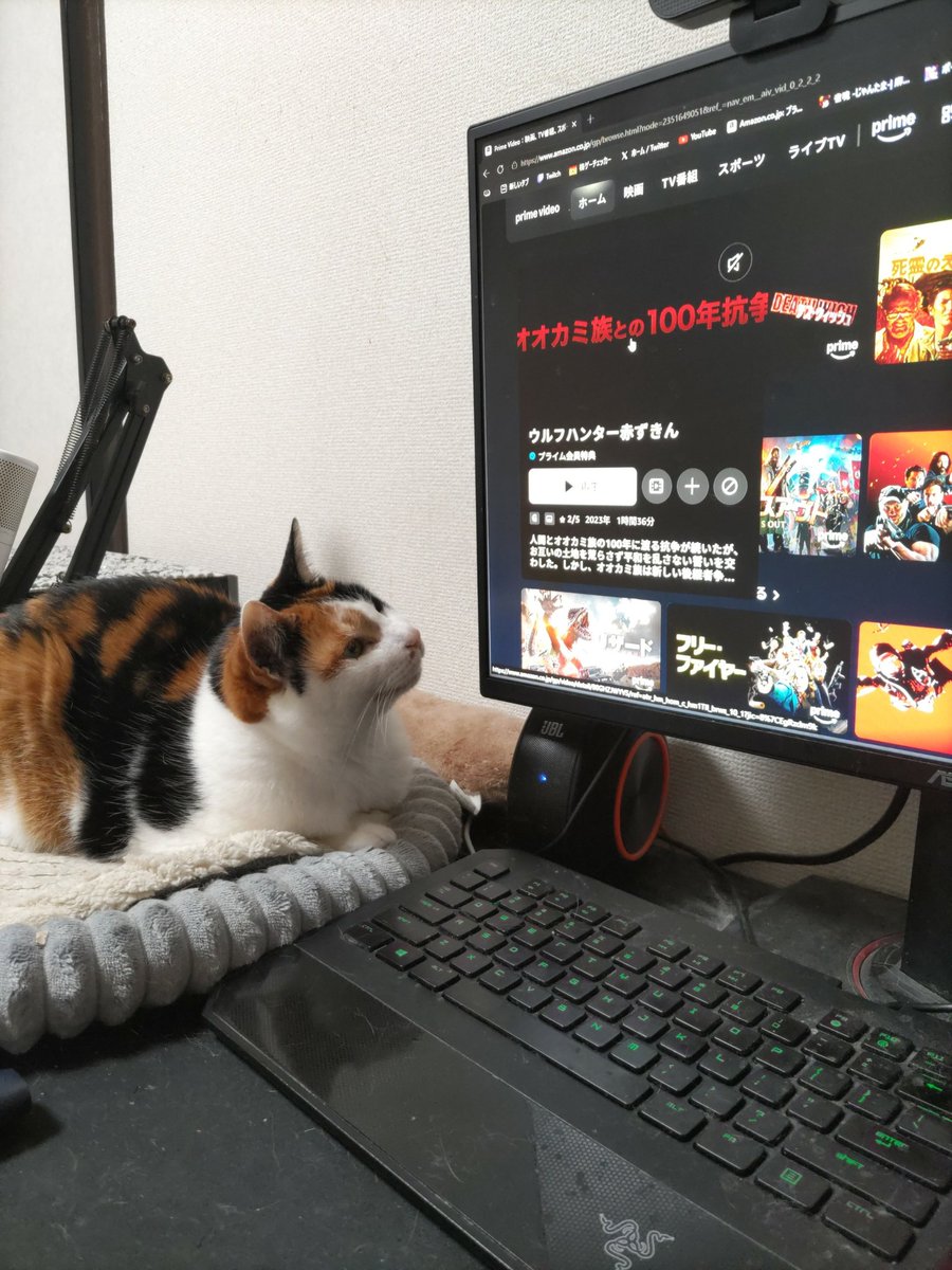shion0228_'s tweet photo. 最近ずっとみてくる https://t.co/Ftc389Ov0W