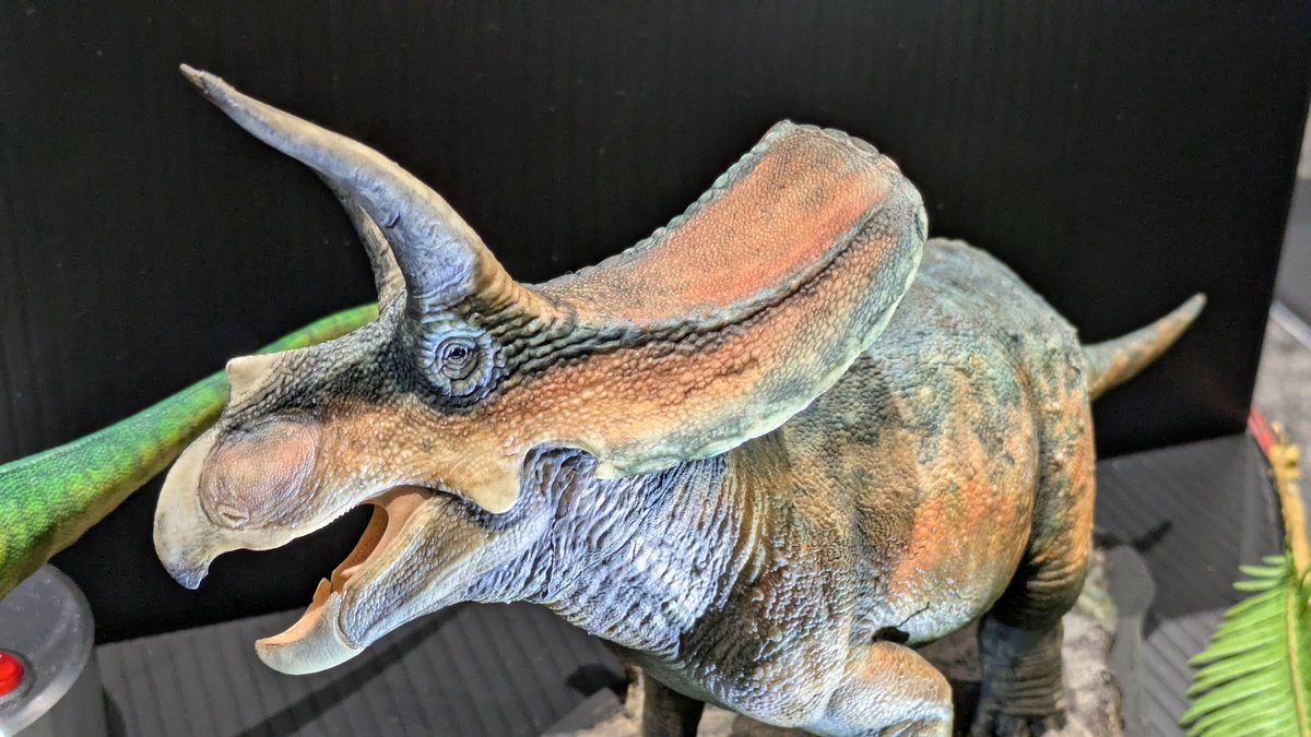 つぶがい🐚 tweet media