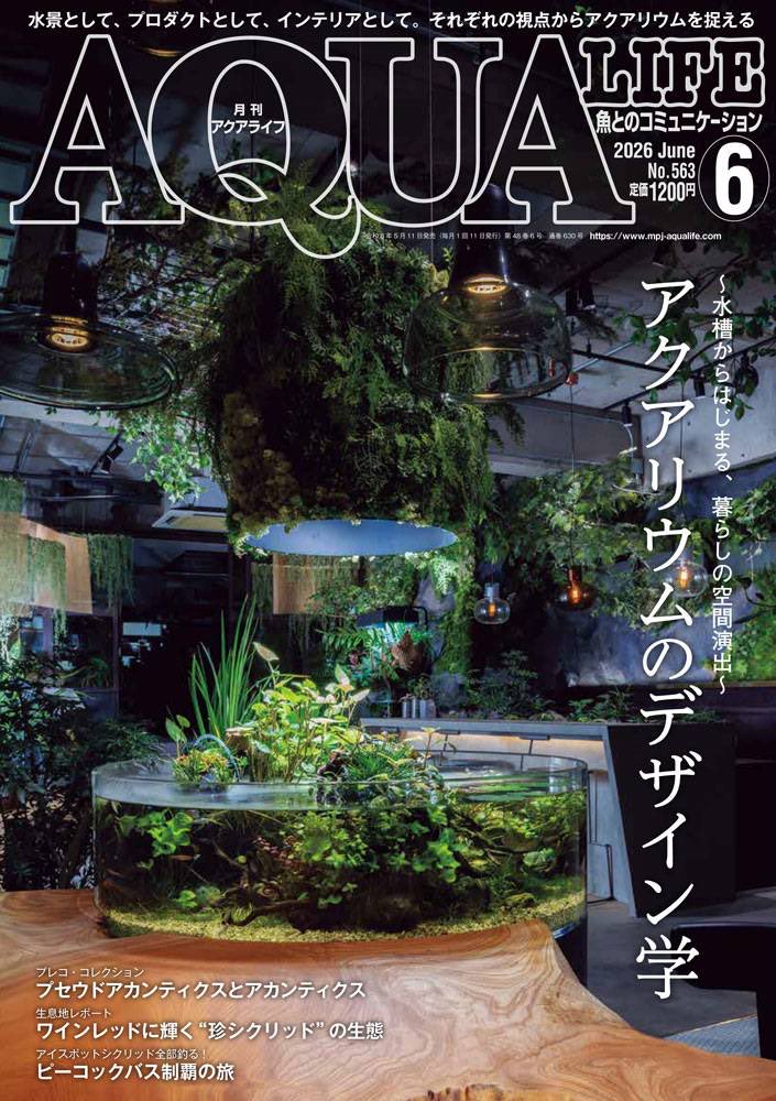 月刊アクアライフ編集部 (@AQUALIFE_MPJ) / Posts / X