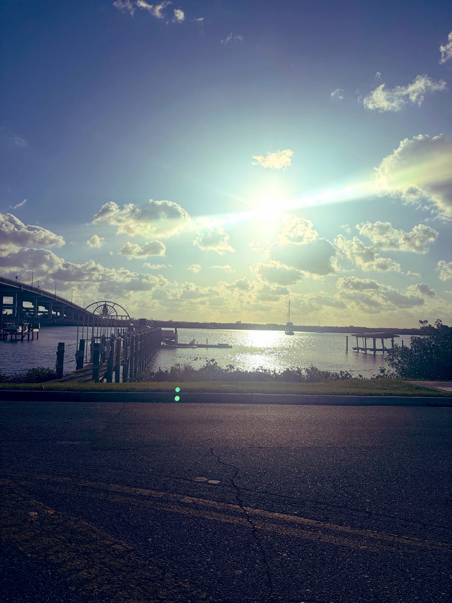 ChrissyFLGirl's tweet image. GM🌞