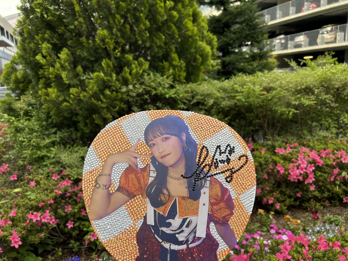 れいちゃんぬ🧸 tweet media