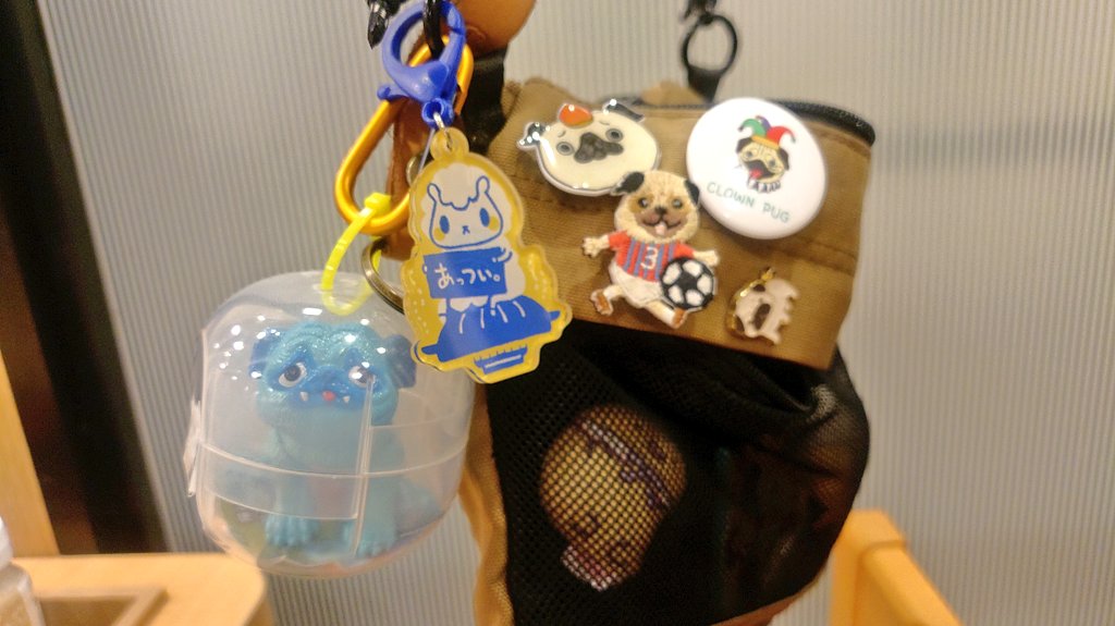 パグ獣🐶作った人→あきぱぐ🐶 (@pugchaa) / Posts / X