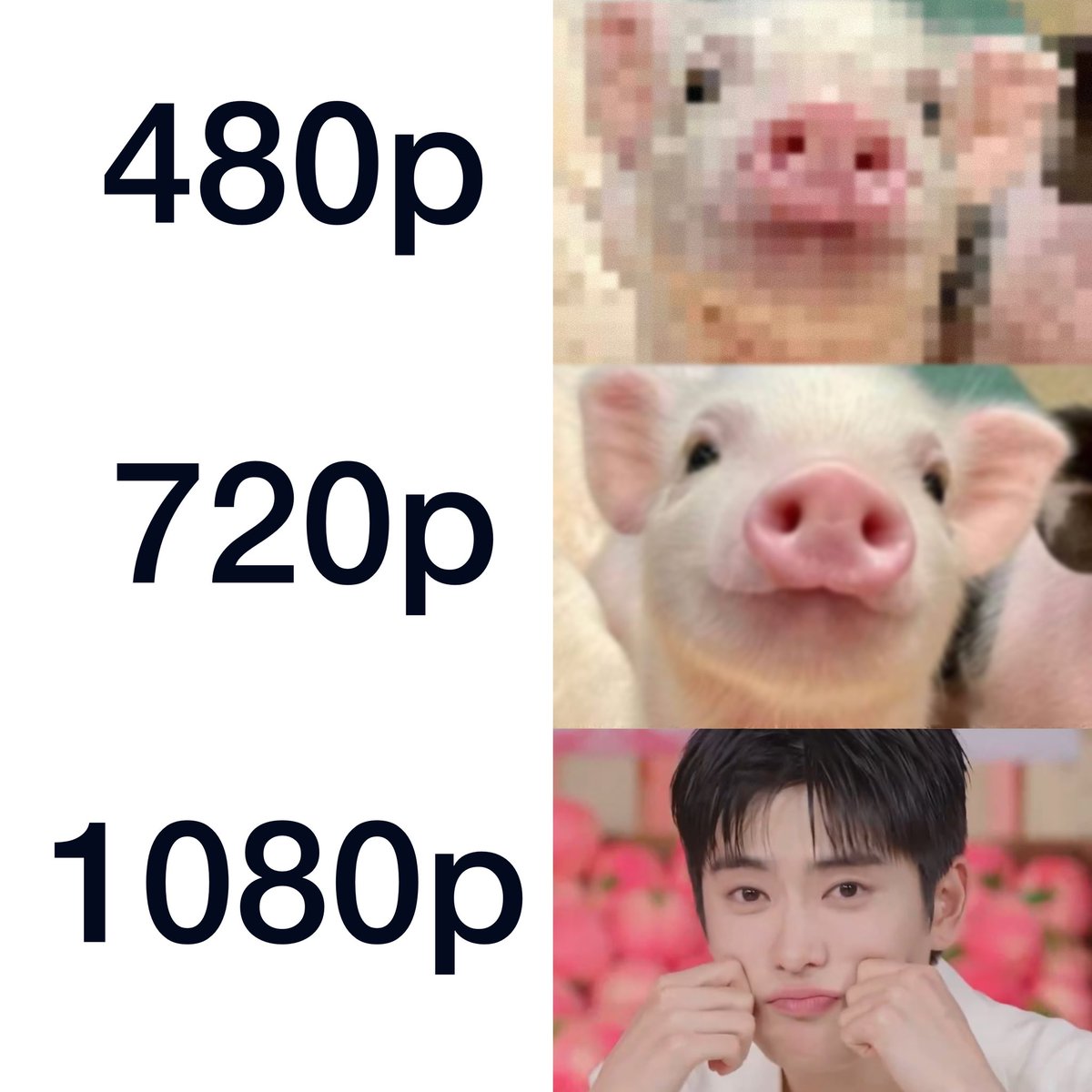 หมุแจน..อุ้ด อุ้ด 🐽🐽🐽🐽