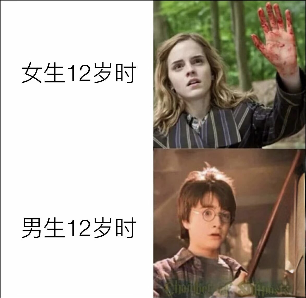 雲鳩 tweet media
