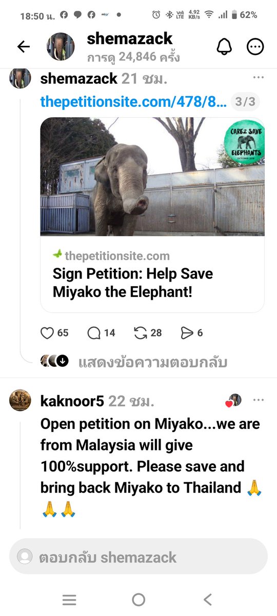 ชลน แมวส้มแท้ๆ 🐱 tweet media