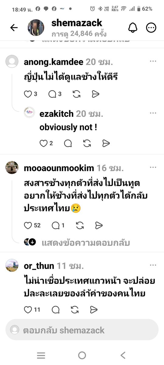 ชลน แมวส้มแท้ๆ 🐱 tweet media