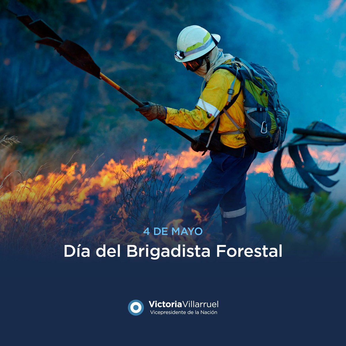 Victoria Villarruel tweet media