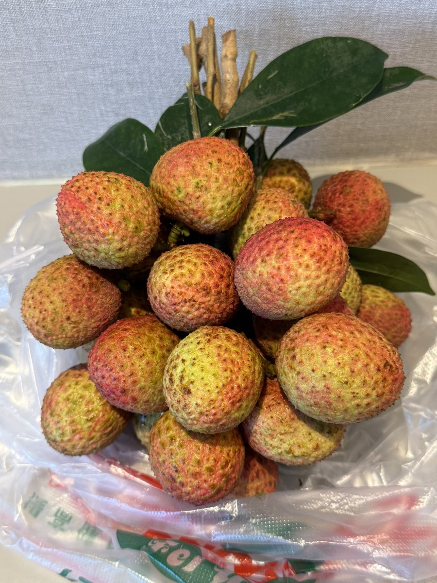 大熊猫🍎真浜 tweet media