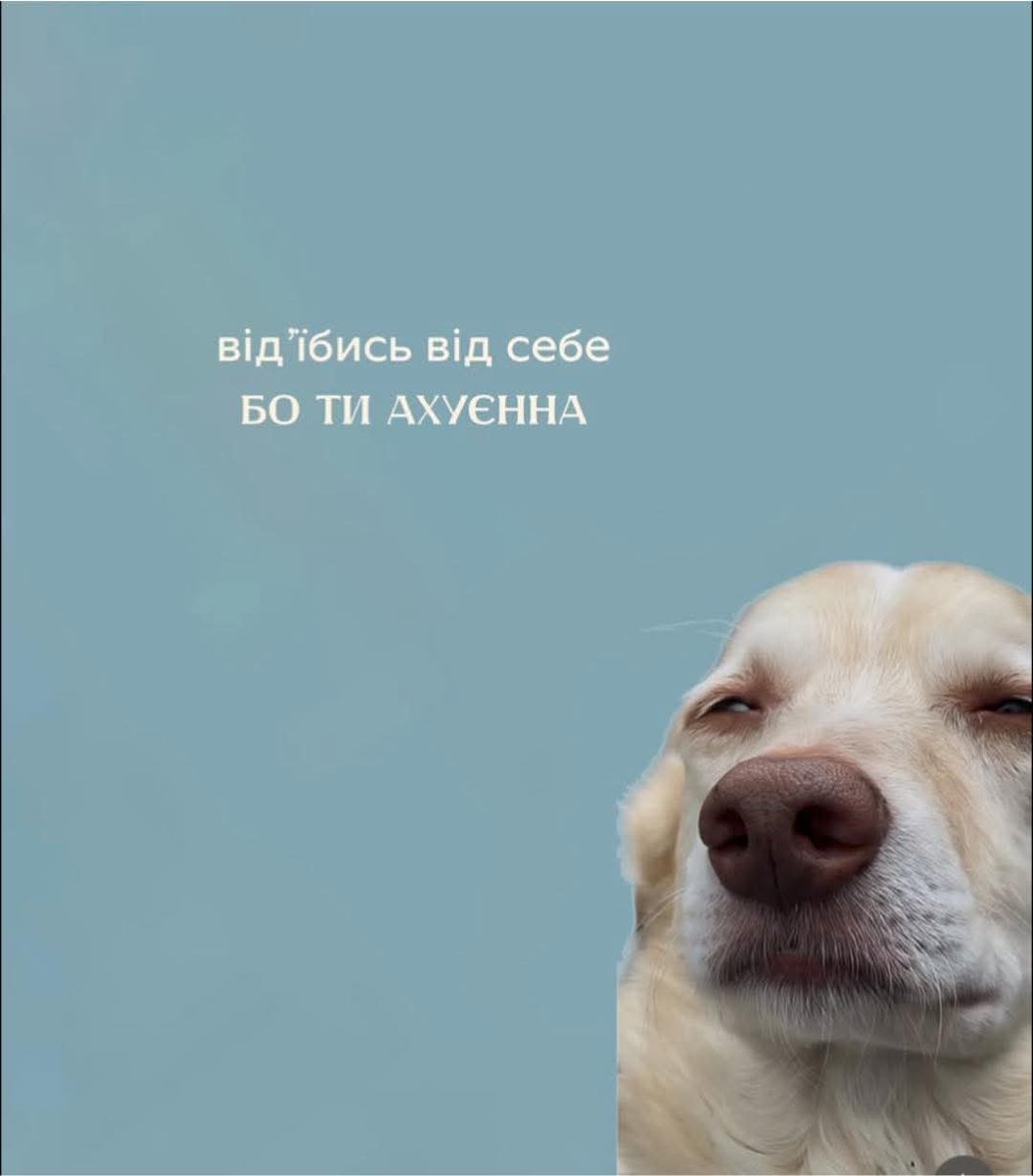 Такій настрій 🫶