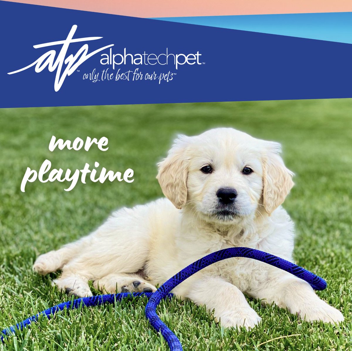 AlphaTechPetInc's tweet photo. More daylight means more adventures, more playtime, and more reasons to keep your pet fresh and ready for the next outing! Keep everything clean, from coats to carpets: https://t.co/e9irdlYtev
#SpringPaws #AdventureBuddy #FreshAndClean https://t.co/1MpMpvK4CI