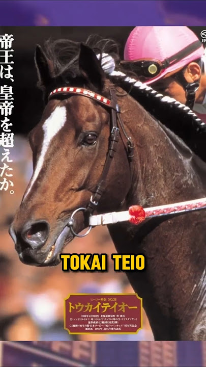 Hourly Tokai Teio tweet media